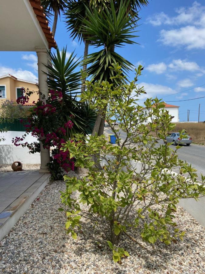 Casa Do Canto - Uma Casa No Campo, Perto Da Praia. Obidos